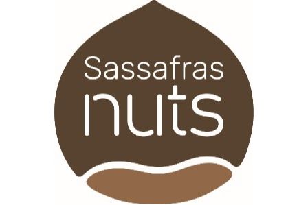 Sassafras Nuts