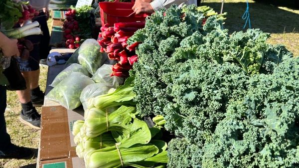 FAB Farmers Market